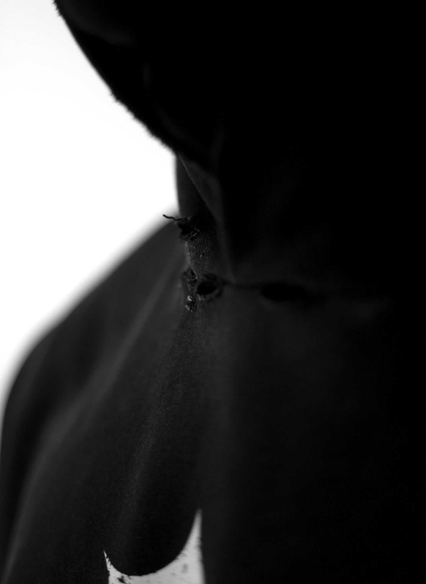 Distressed Logo Hoodie